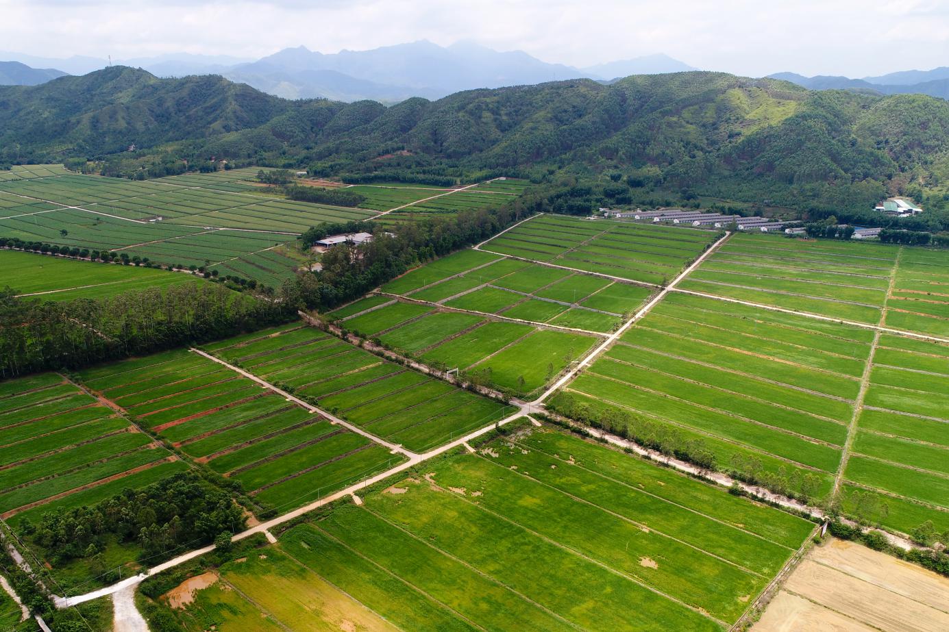 造万亩良田,助乡村振兴发展